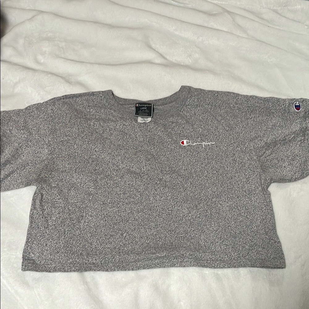 Champion Gray Cropped Sweatshirt